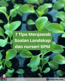 7 tips menjawab soalan Landskap dan nurseri SPM